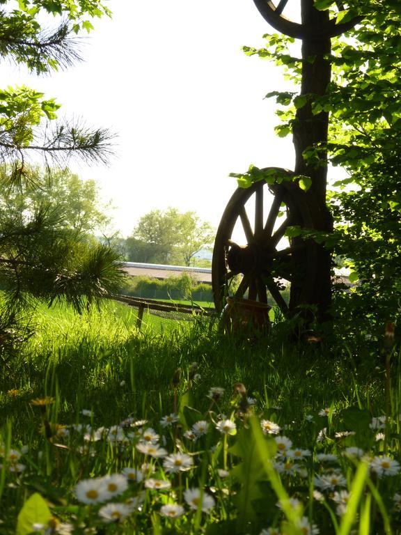 Pension Gruenes Herz Tonndorf Exterior foto